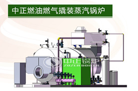 中正撬裝蒸汽鍋爐系統在中國的優勢是顯著的，并成功進入海外市場