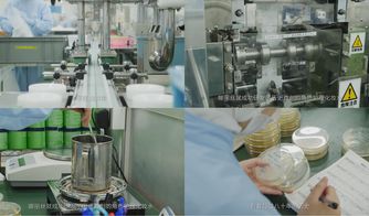 櫻花約定，匠心傳承 日本娜麗絲衛生用品的前世今生